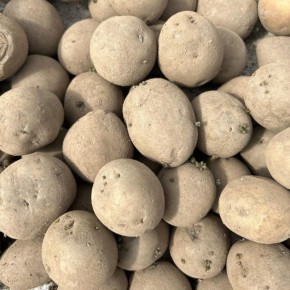 ����������� ���������� ��������� � �������� �������