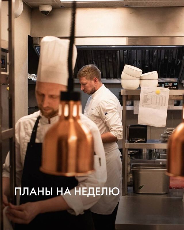 ���������������� ������ �� Novikov Group