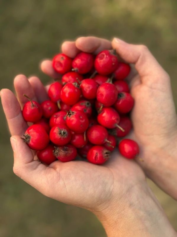 ��� ��������� ������ ��������� � ��� �� ���� ����� �����������