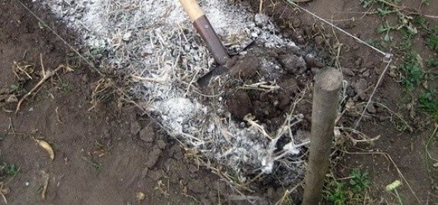 ����� ��������� � ��������: ��� ������� ���������� ����� ��� ������