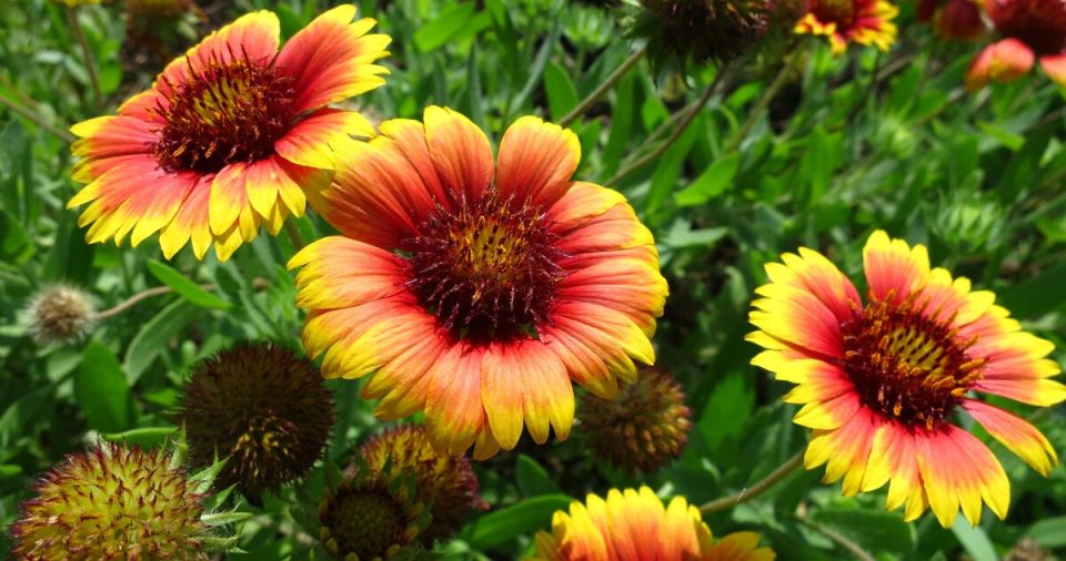 ���������: ����� ������� ��� ��� ����, ��� � ��� �������