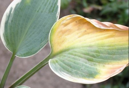 ������ � ����� ������� ������: �������� ������� � ������� ������� ��������