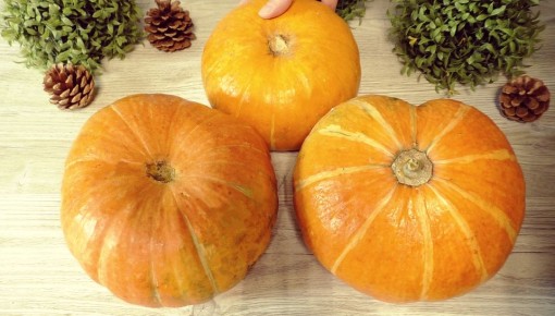 ���������� �����: ������� �������� ������� � �������� ������� � Wildberries