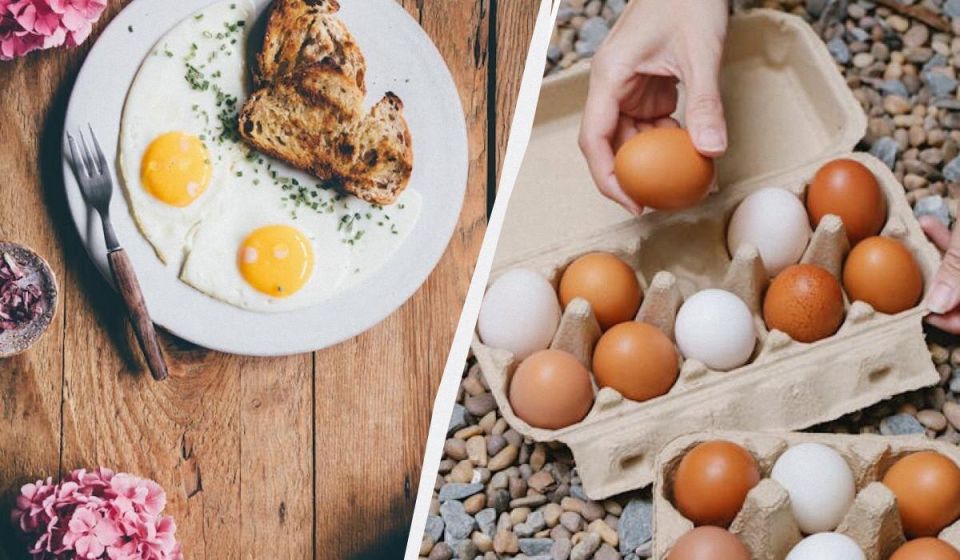 ��������� ��������: ������� ������� �������