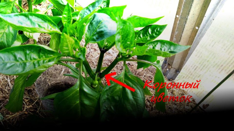 �������� ������ � ��������� ������ �����: ��������� ��� ����������?