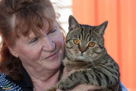 ������� ��������: ��� ��������� ������ ��������� �����