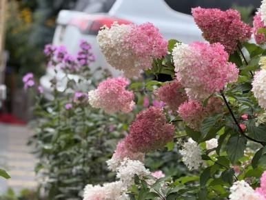 ��������� � ������: ����������� ������ � ����������� �������