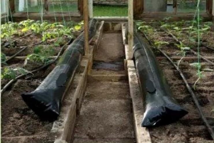 ��� �������� ������� ������� �� ��������� ������: �������� ������