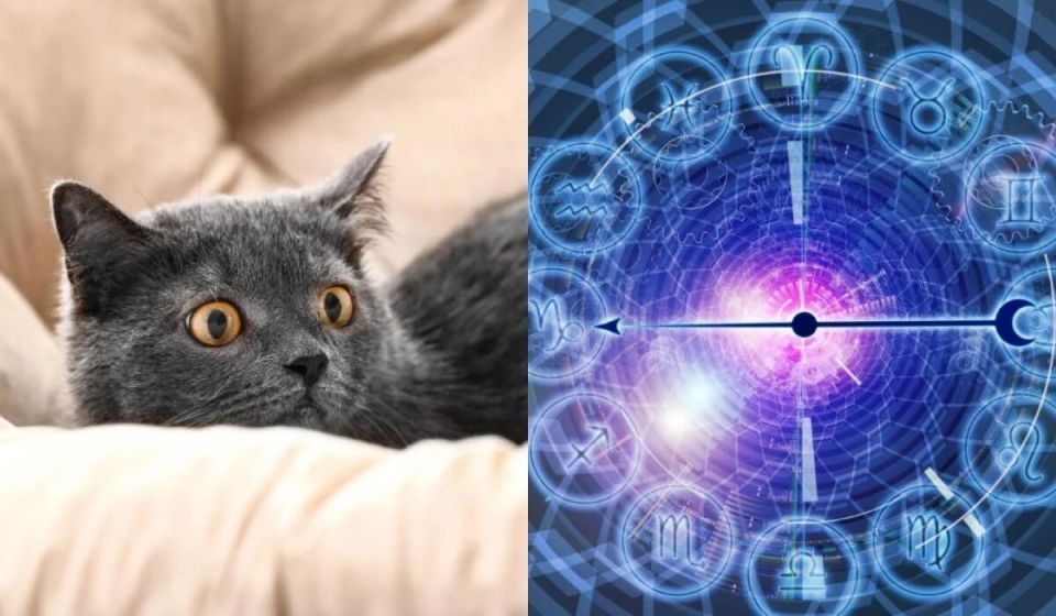 ����� �������� ����� ���������� �� ������ �������?