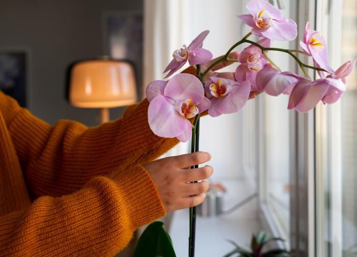 ��������� ������� ������ �� ��������: ��� ���������� ��������� ��� ������������