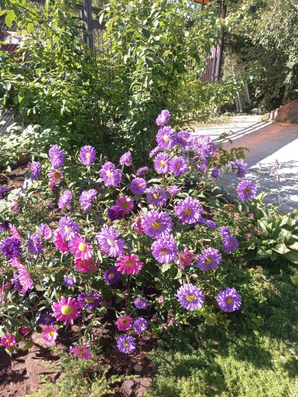 ����������� �������� �����������, ������� �� ������ ������������