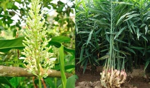 ���������� ��������: ��������, ����� � ����� �������� �������