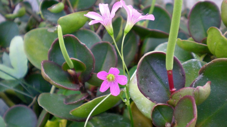 ���������: ��������� ����������� ���� � ����� ����