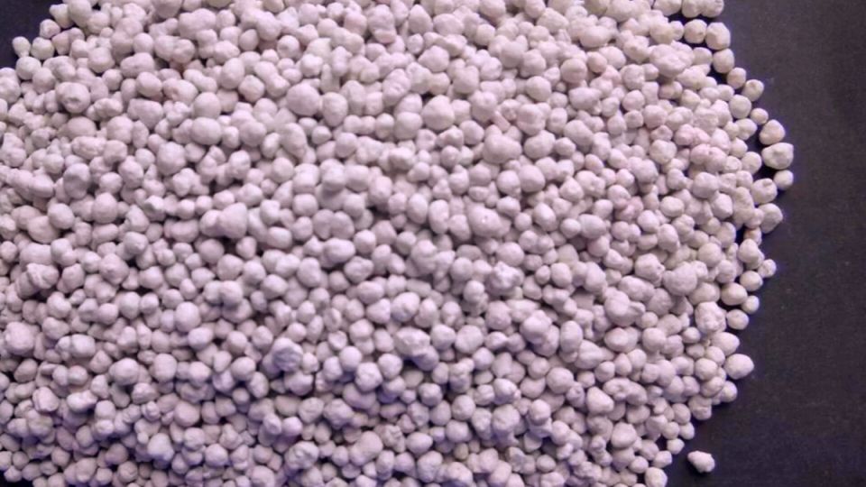 ���������, ������� ������� ��� ������: ��� �������� ���������� ������