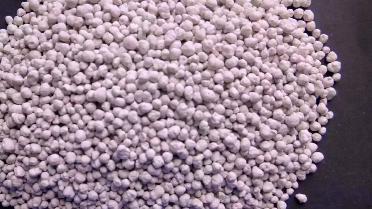 Удобрения, которые изменят ваш огород: как добиться рекордного урожая