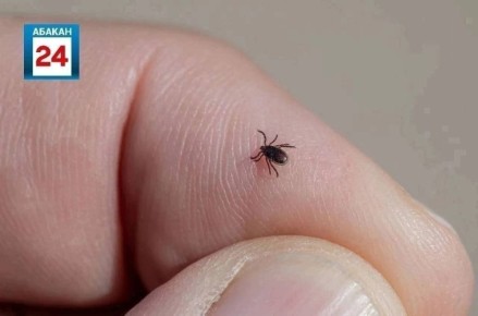 ��� 91 ������� ��������� �� ������ ������ � �������, 25 �� ��� � ����