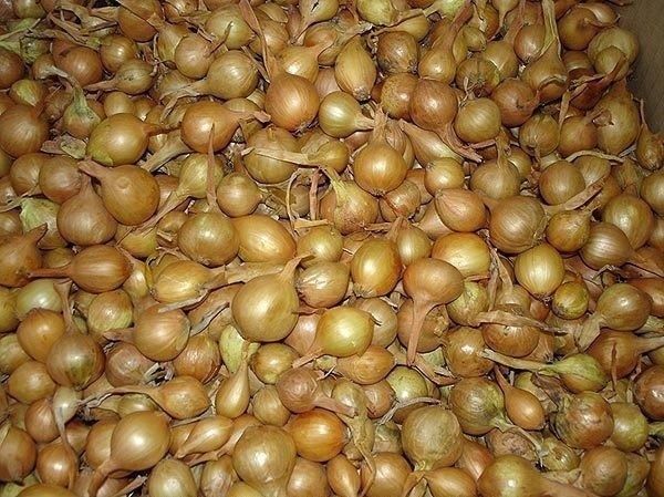 ������� �������� �������� ������� ����: ��� �������� ������� ��������