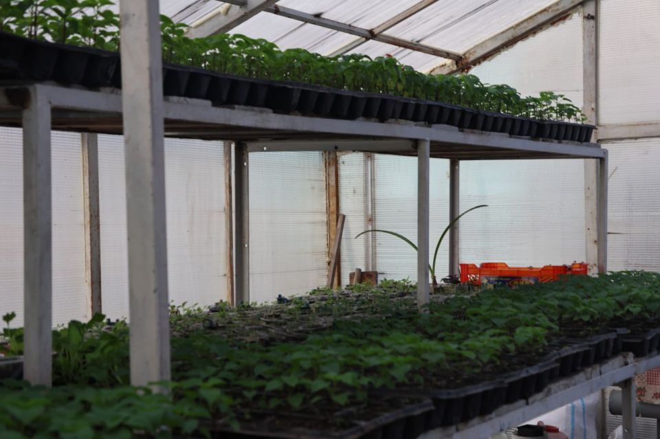 �������, �������, ��������: ������ 140 ����� ������ ������� ���������� ����� ���� �����