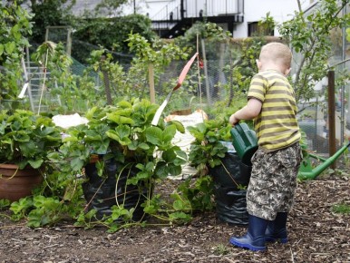 Дача в СССР: от огорода до шашлыков – несостоявшаяся утопия