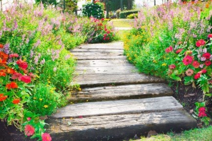 Почему вдоль дорожек выбирают 16 устойчивых цветов и как они работают вместе