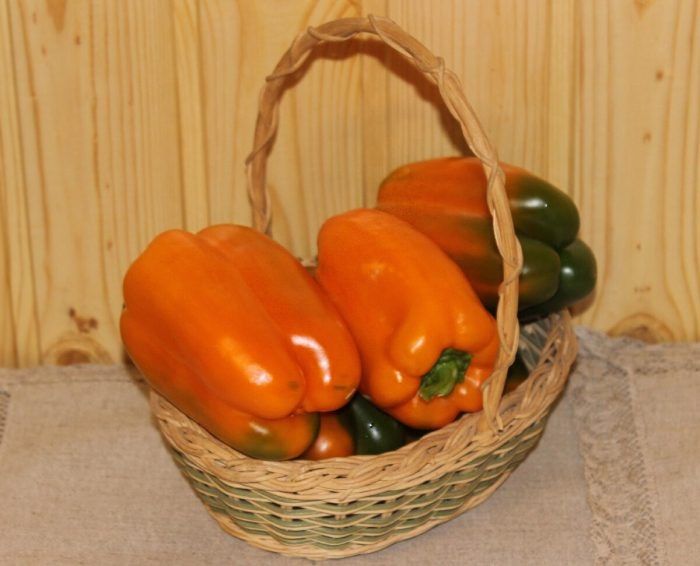 ����� �����: ��������� ������ �� ����� ������