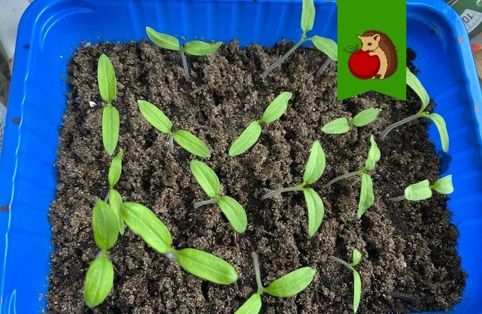 ������ ������ ����� ����� ������� ��� ������� � ��� �������� �������� ��� � ����