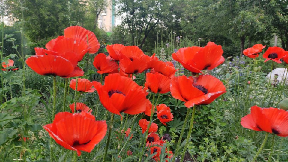 ���� �� ����: ����� ����� ��������� ������, � �� ����� ����� ����������