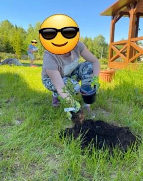 ������ �������� � �����: ������ � �������� ��� ��������� ������