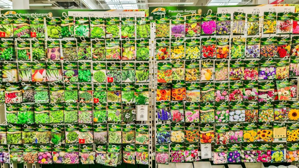 ��� ������� ������ ������ � ������: ������ �� ��������