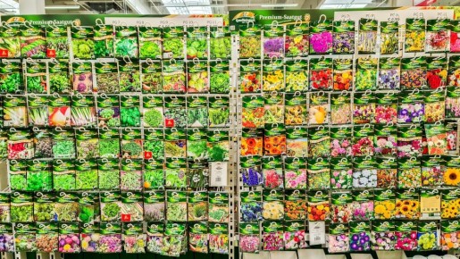 ��� ������� ������ ������ � ������: ������ �� ��������