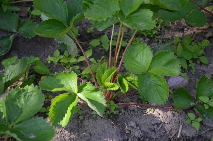 ���� �� ��������� ����� ����� ������