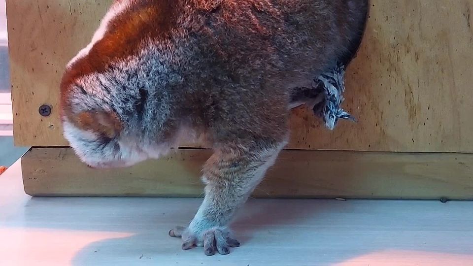 ��������� ���� � ��� ����� ������������, ����������