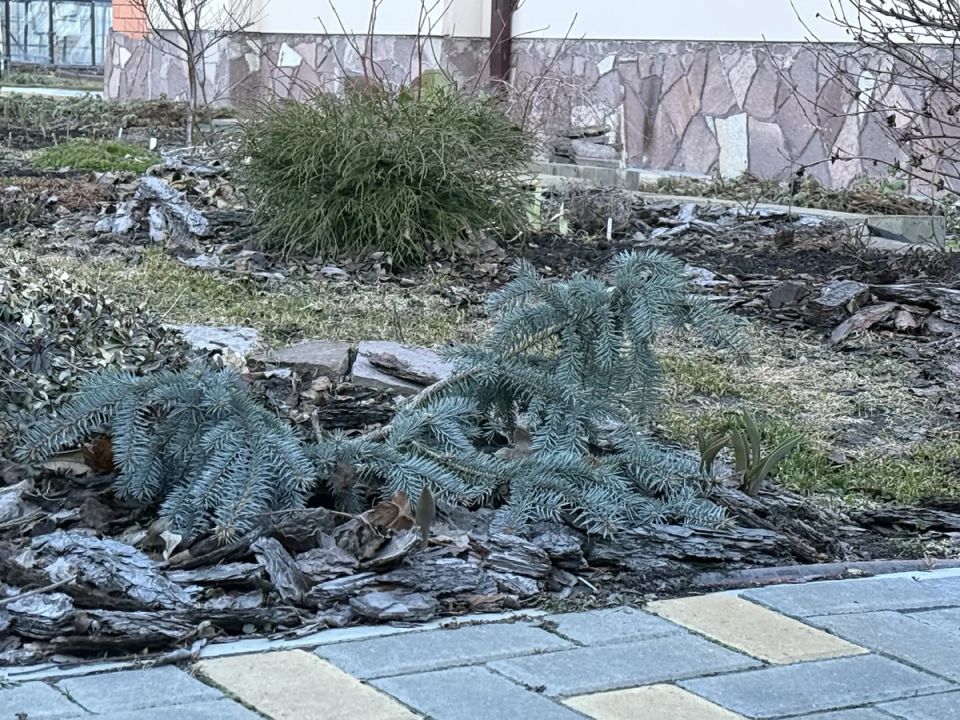 ������������ ��� �The Bluez�: �������� ������� � ����� ����