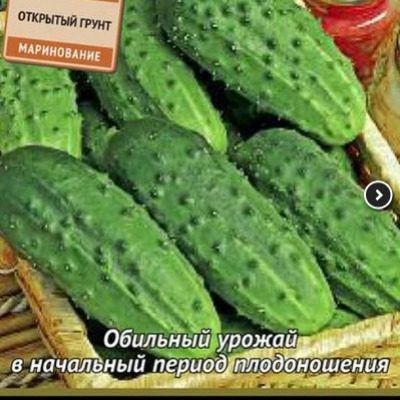 ������ �����: ����������� ������ ��� ������� ������ ����������