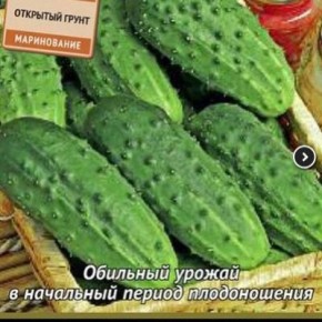 ������ �����: ����������� ������ ��� ������� ������ ����������