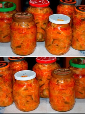 ������� ����� �� ����: ��������� ������ ���������