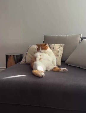 ������ ����, �������!. ���� ��� �������� ����� �� ����� ����������, ��������� ���� � ������� ������� ������!