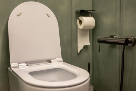 ������ ������ �� ���� ��� ������: �������������� ����������