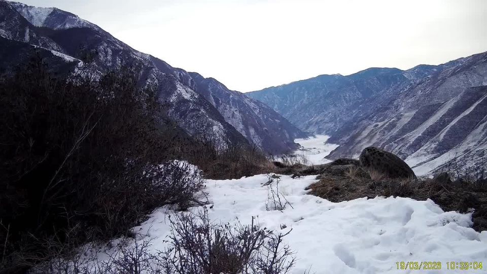 ������� ������ �� ������������� ������ ���� �������