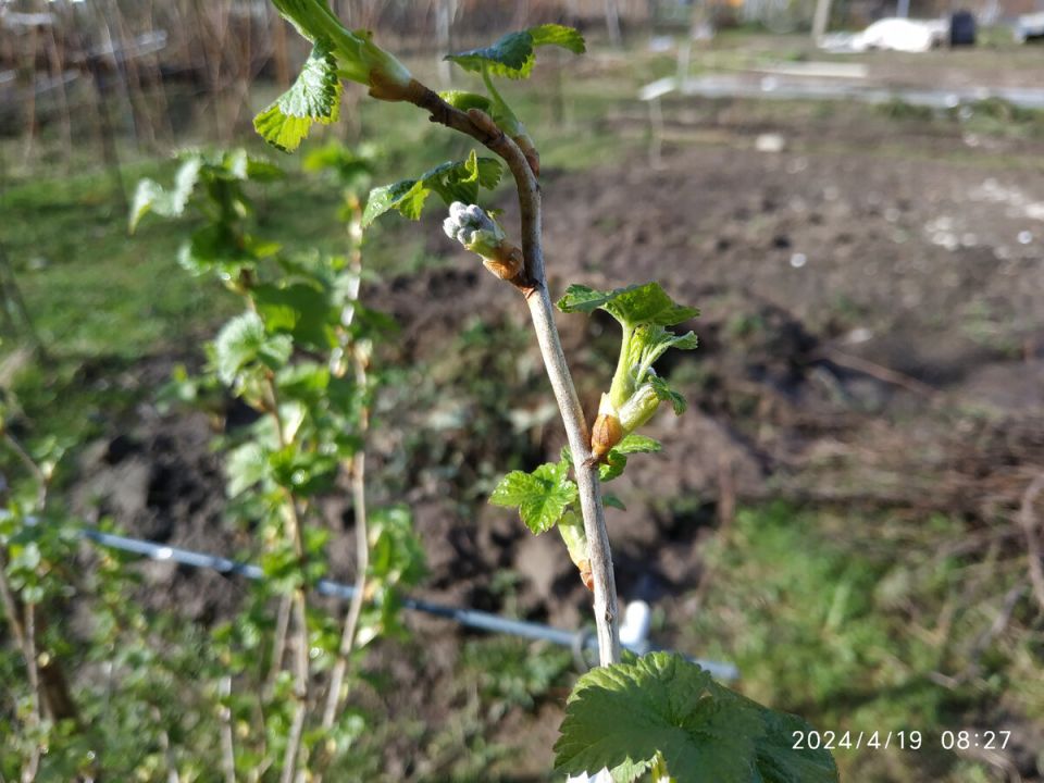 ������� �������� ��������� ��������� � ���������� ��� �������� ������