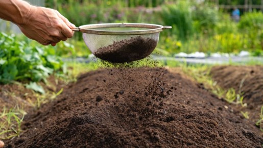 ����� ��������� ����: ��� �������� ������ ��� ������