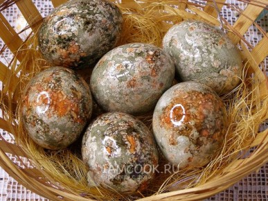 ��� ������� ����� ������������: ��������� ���� � ������ � ����������