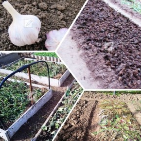 ����� � ��� �������� ������ �� ����