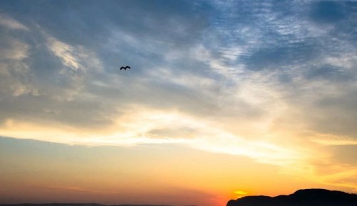 �� -8� ����� �� +26� ����: �������� ����������� ��������� � �������