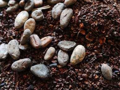 �����-���� ���������� ���� 3900 �������� �� �����