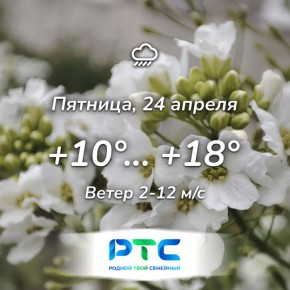 ������ ����, �������!