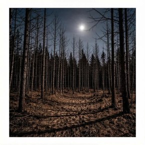 ������ ������� �� ������� ��������