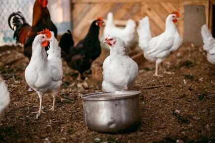 ��� ���������� ���������� �� ���� � ���� � ���������: ������������ ������