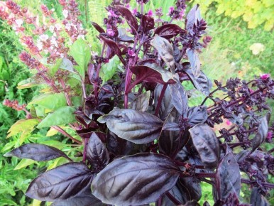 ������� � ��������: ��� ���������� ������� �������� ������ �� �������