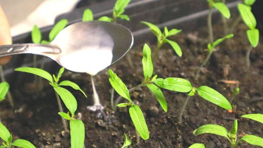 ��� ��������� ������� ������� ��������� ������� � �������� ������